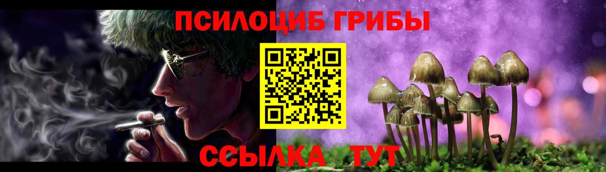 Псилоцибиновые грибы прущие грибы Лесозаводск